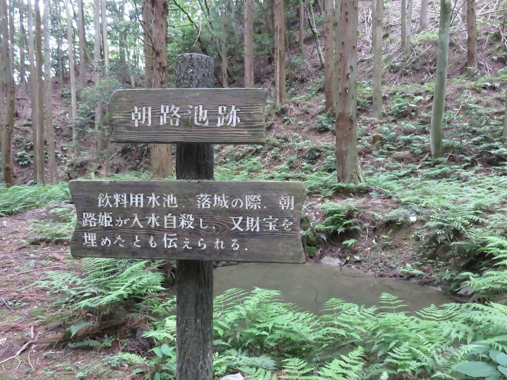 39.jpg