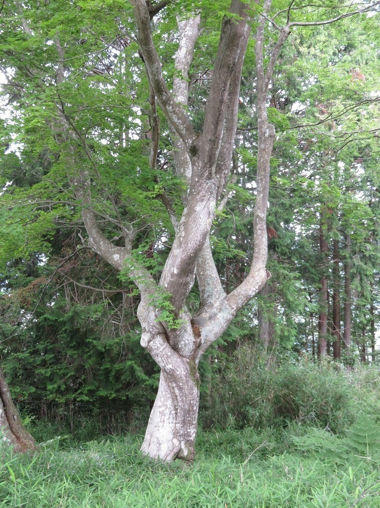 57.jpg