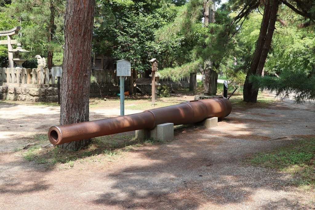 56.jpg