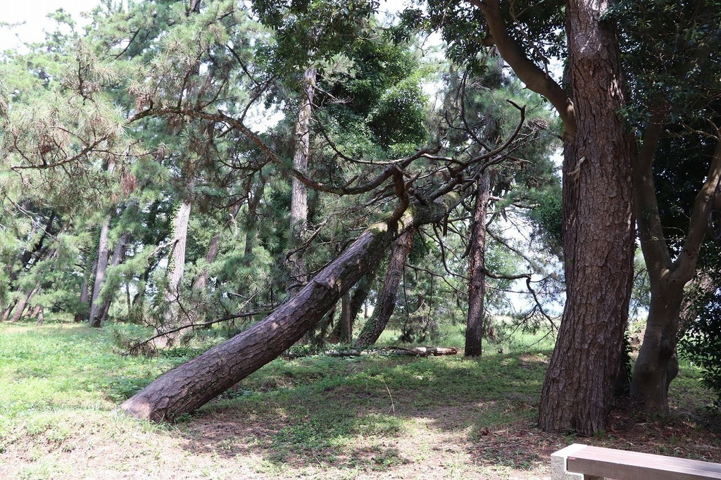 60.jpg