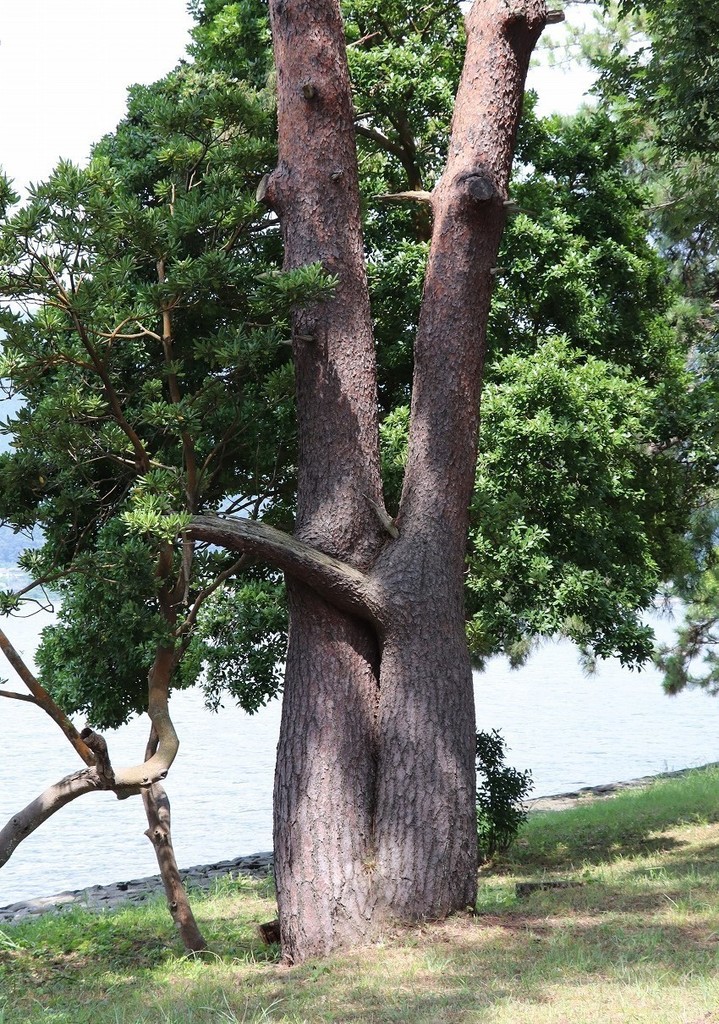 67.jpg