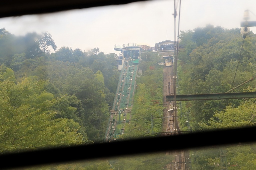 97.jpg
