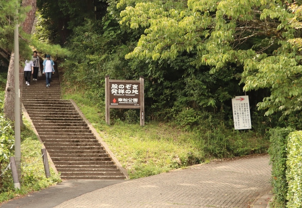 105.jpg