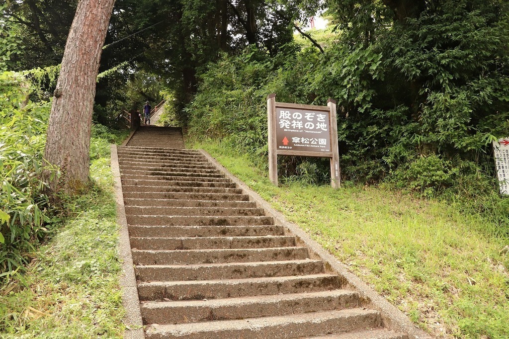106.jpg