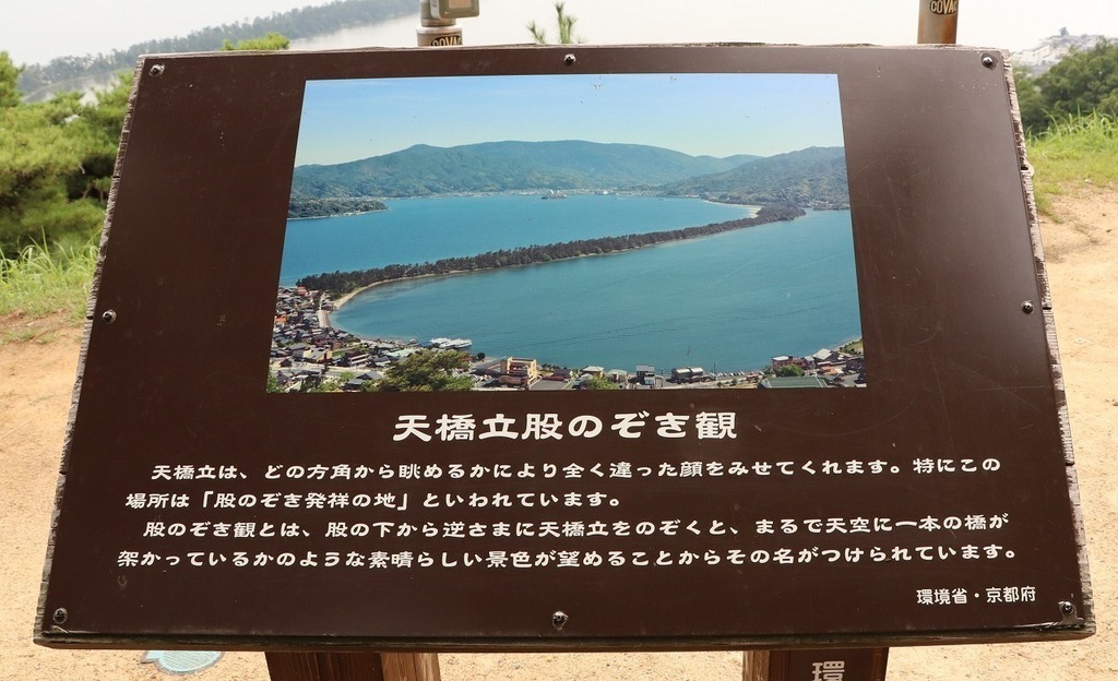 111.jpg