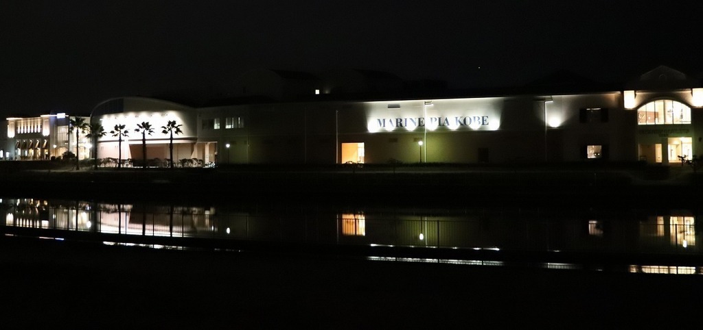 94.jpg