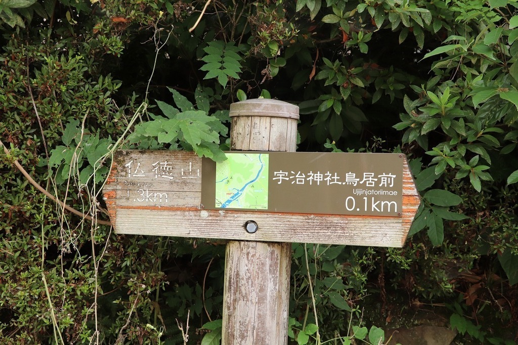38.jpg