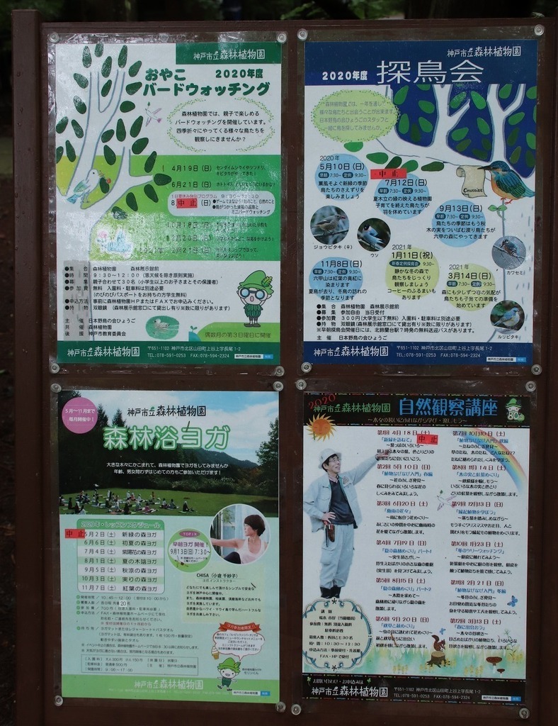 17.jpg