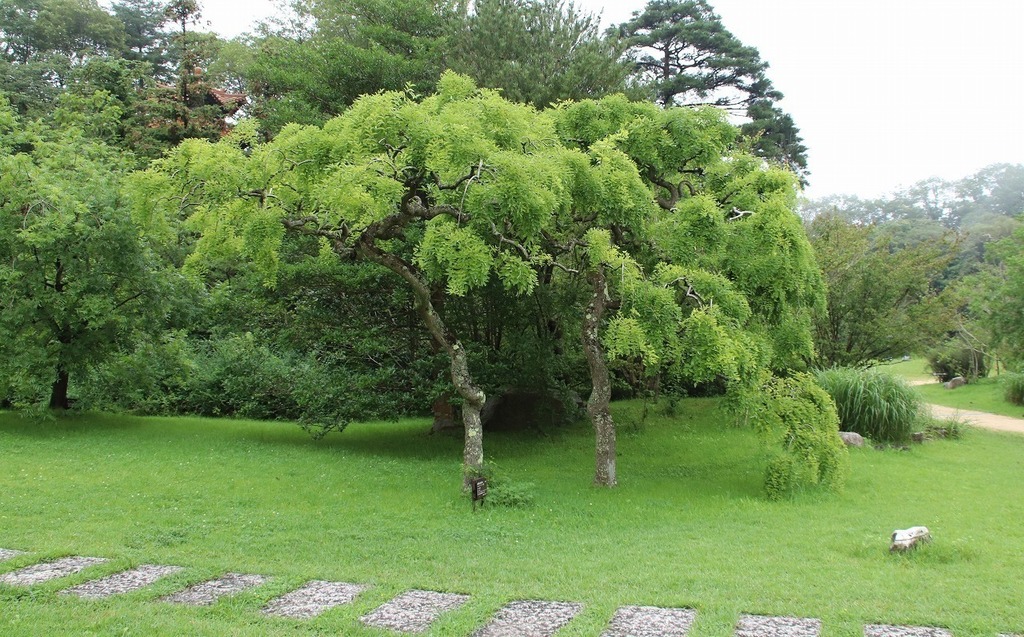 90.jpg