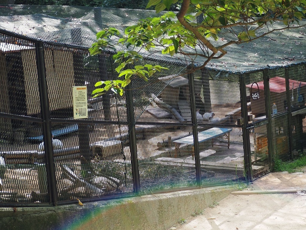 20.jpg