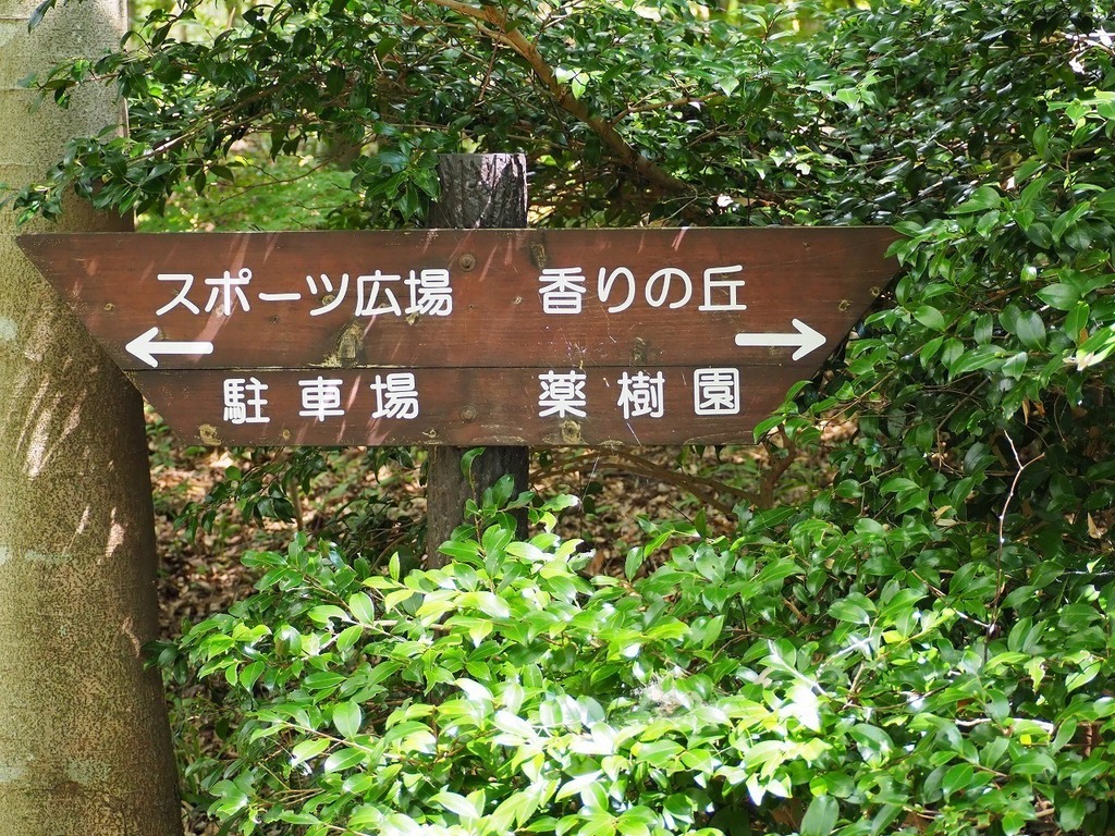 118.jpg