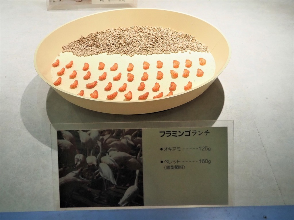 74.jpg