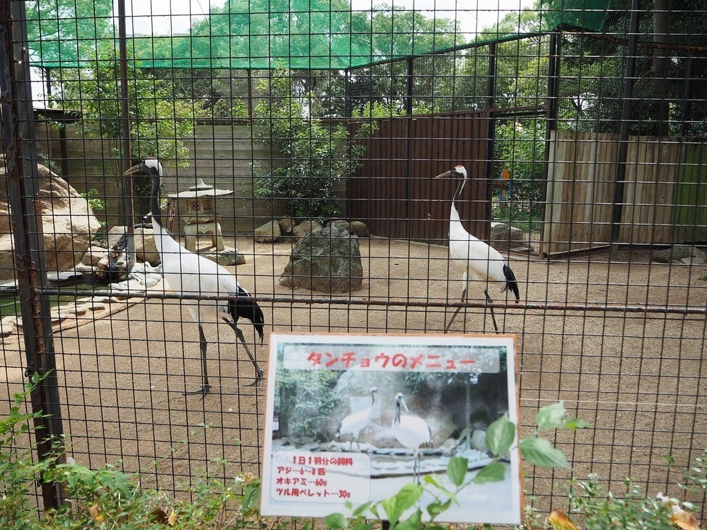 98.jpg
