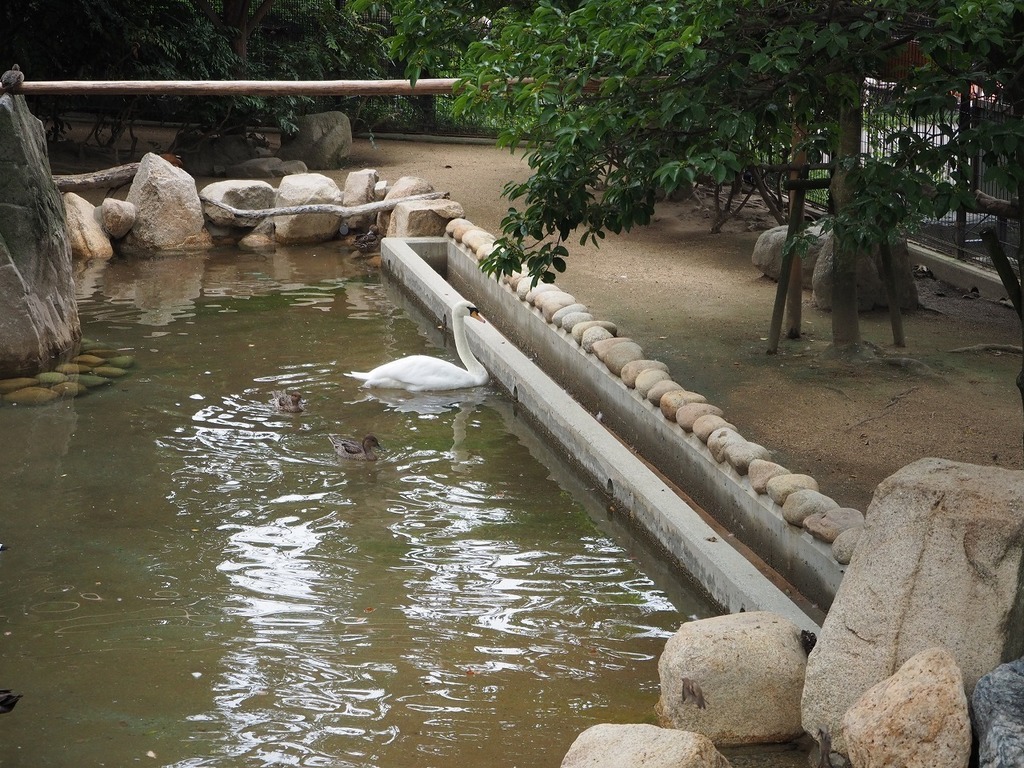 104.jpg