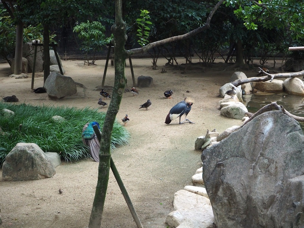 106.jpg
