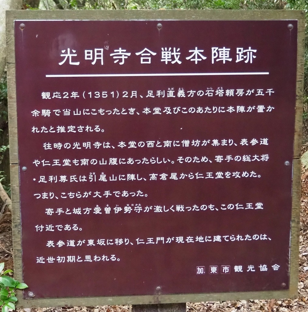 50.jpg