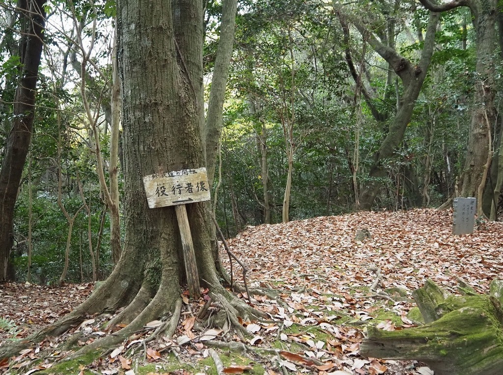 67.jpg