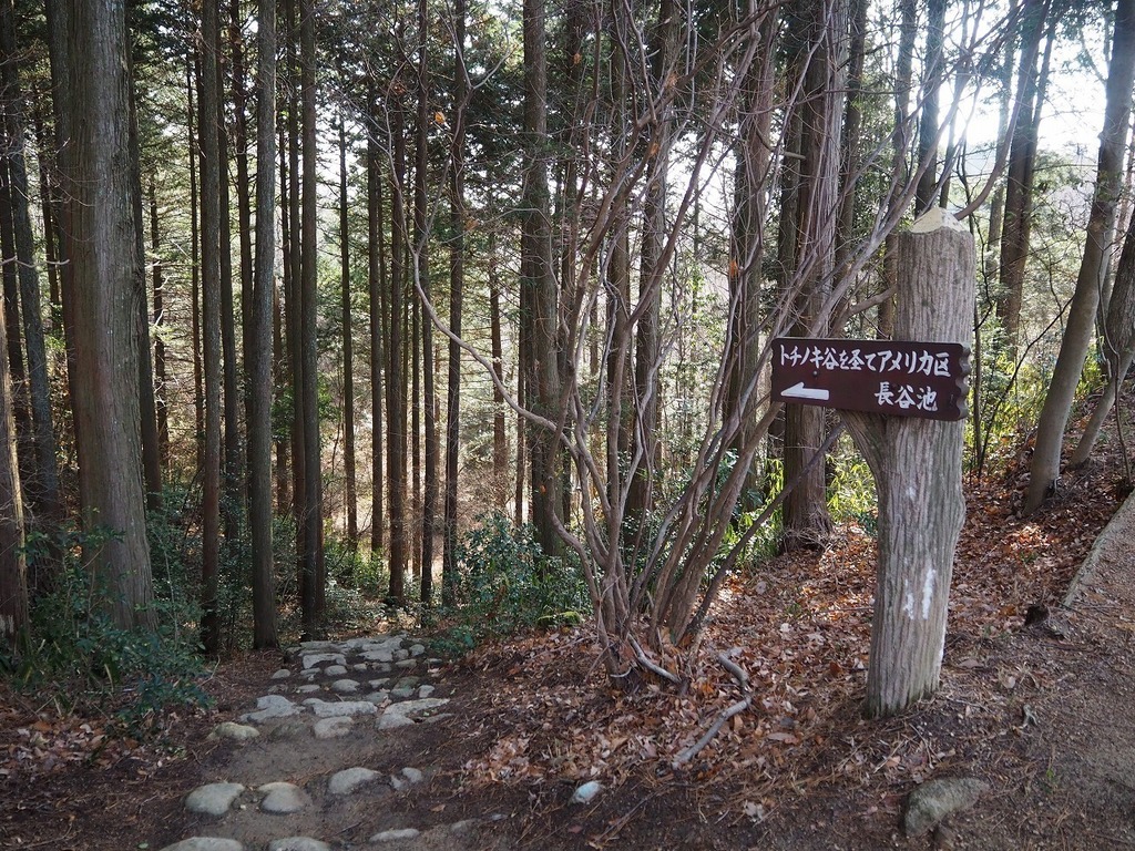 46.jpg