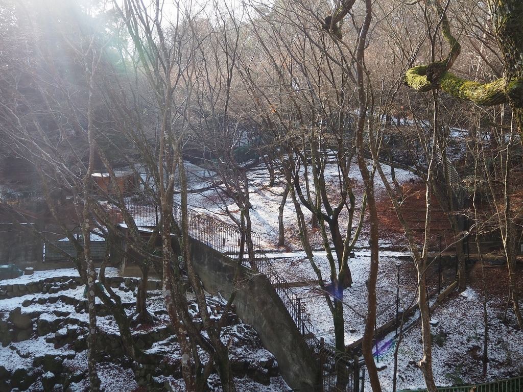 62.jpg