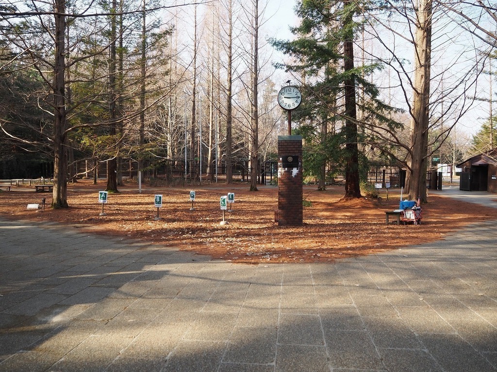 05.jpg