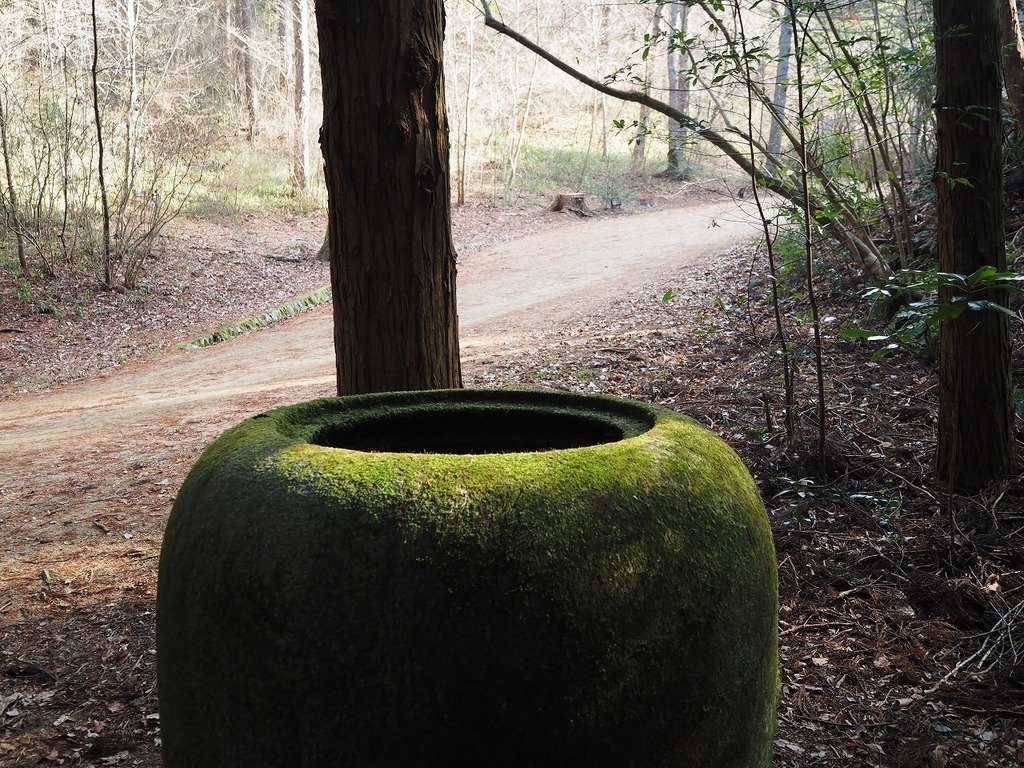 30.jpg