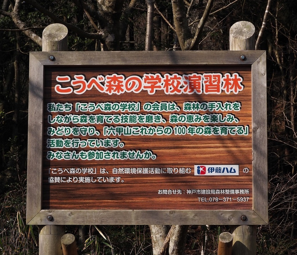 54.jpg