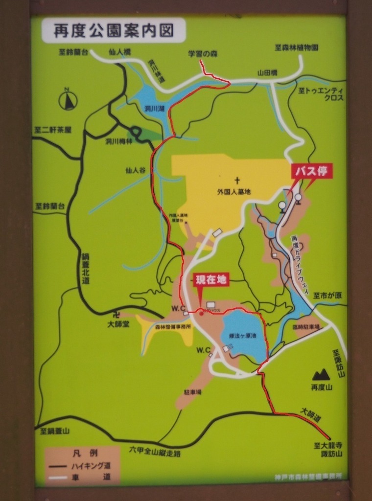 62.jpg