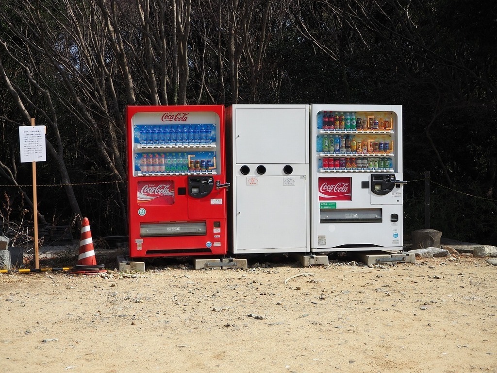 85.jpg