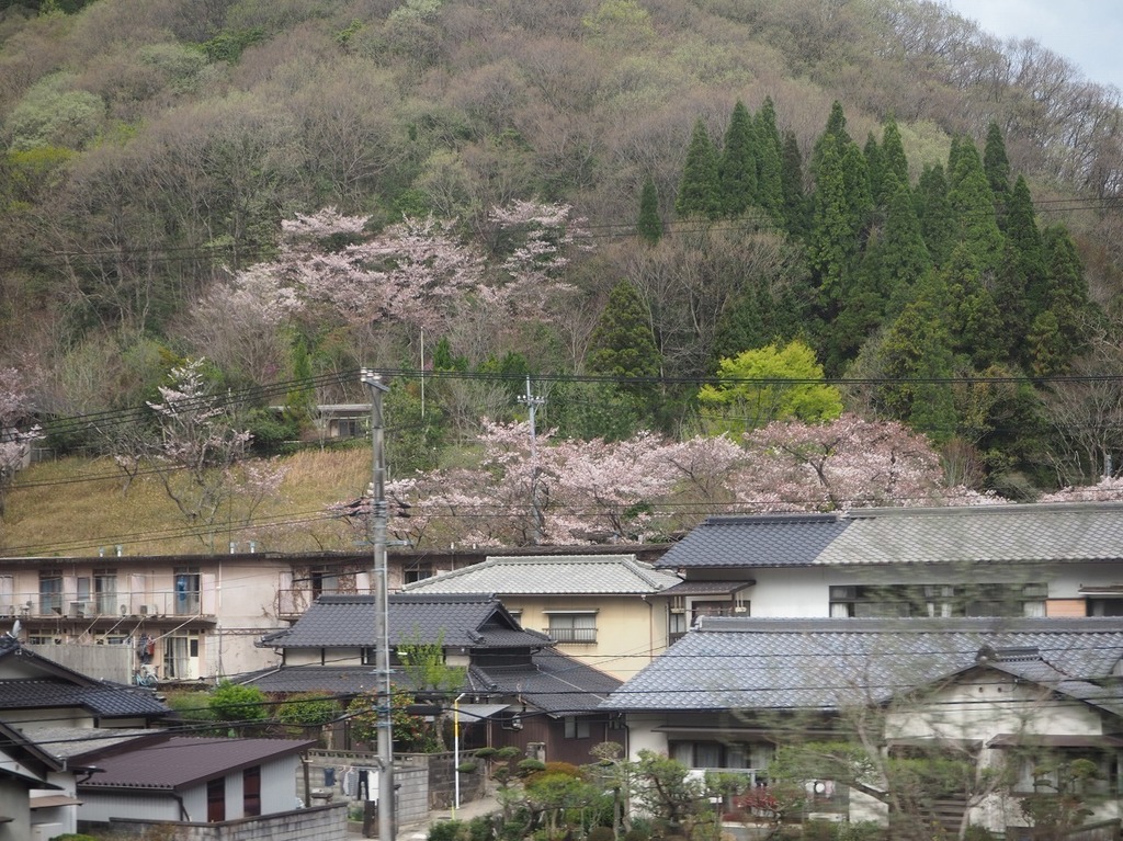 02.jpg