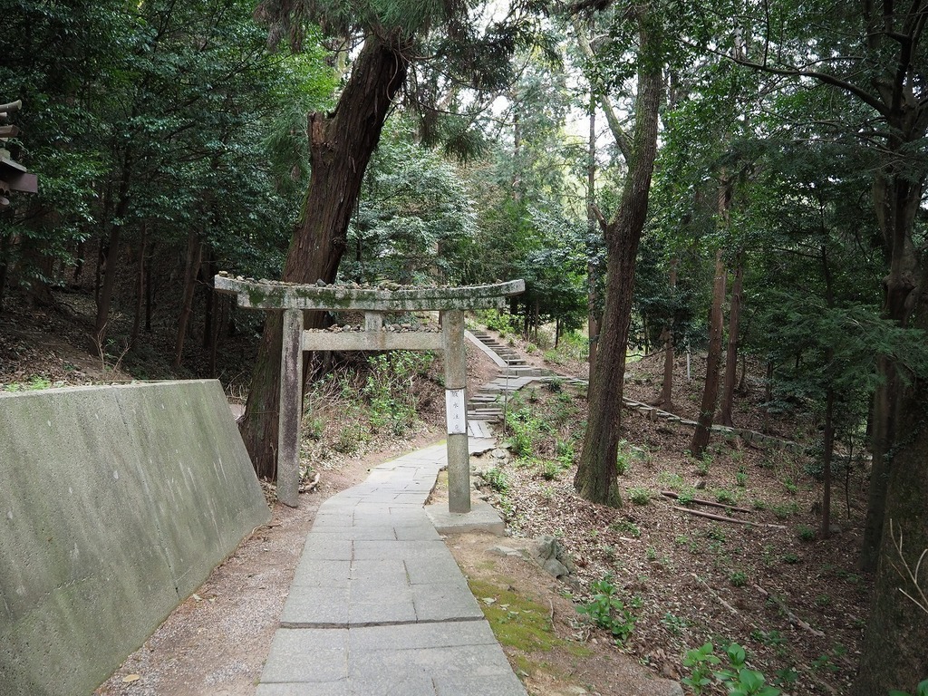 53.jpg