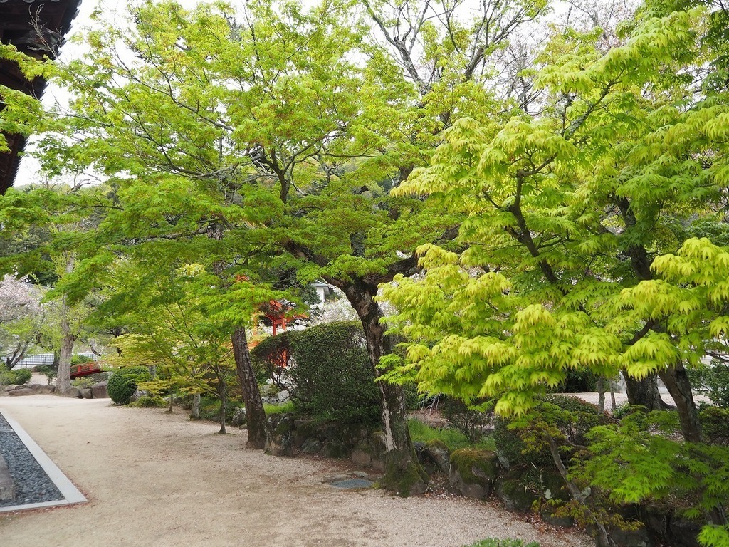 84.jpg