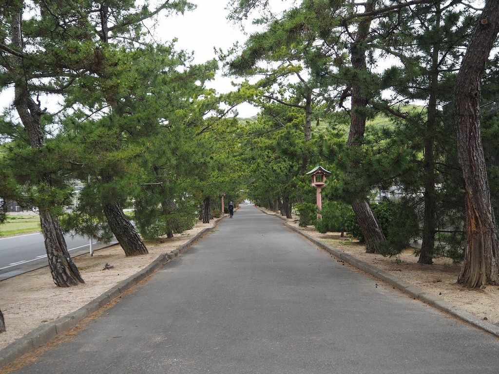 95.jpg