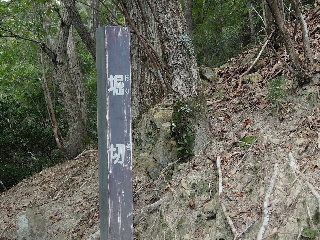 75.jpg
