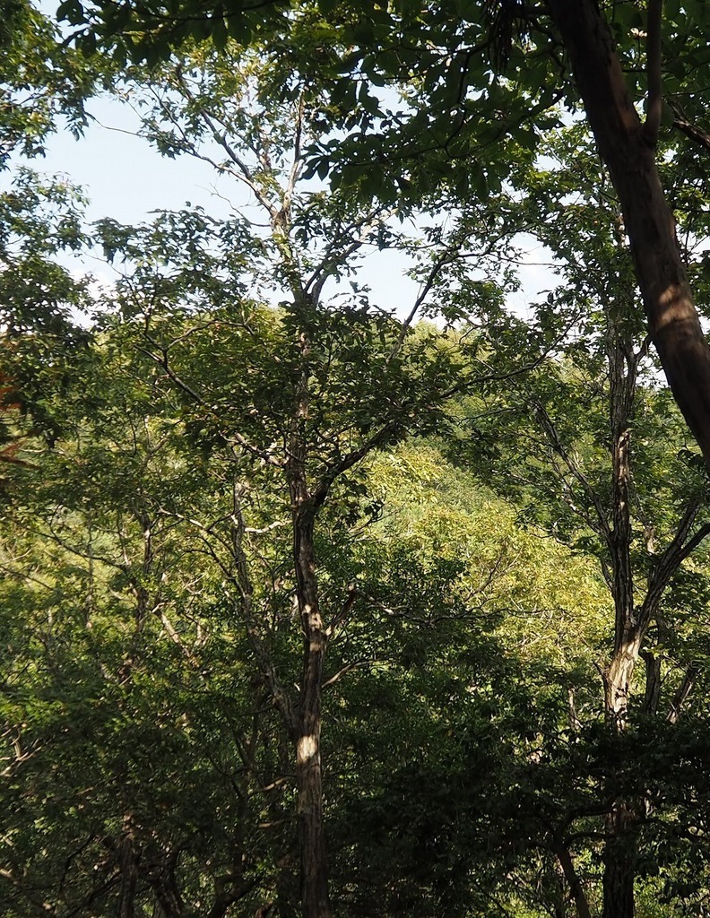 89.jpg