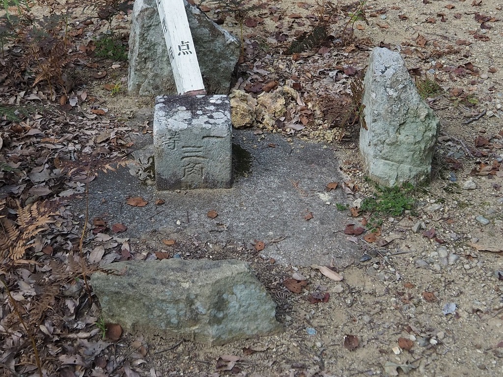 106.jpg