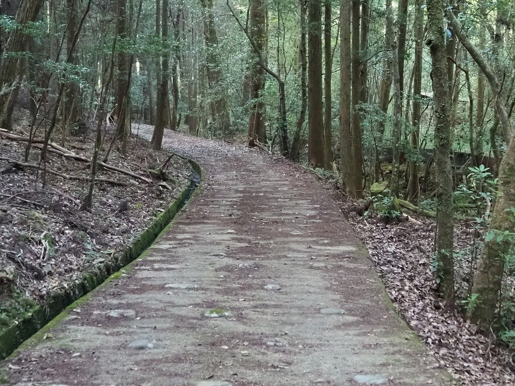 124.jpg