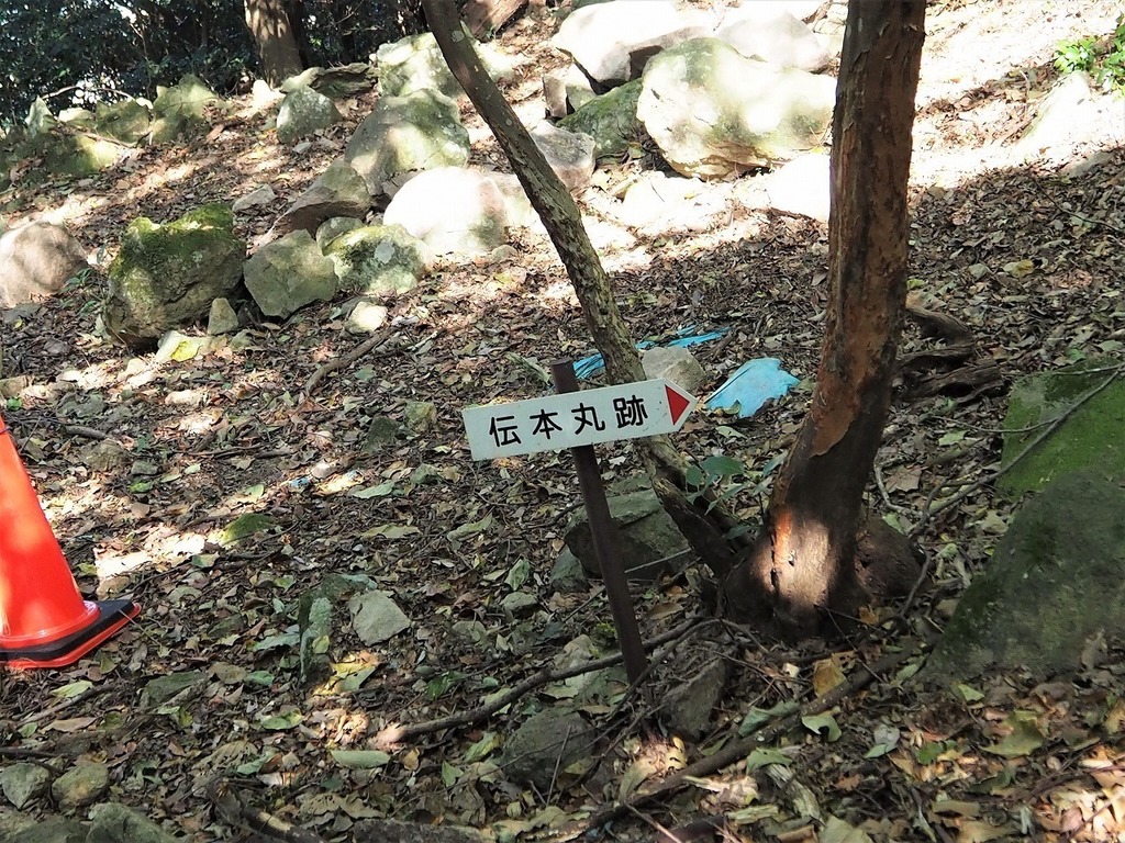 87.jpg
