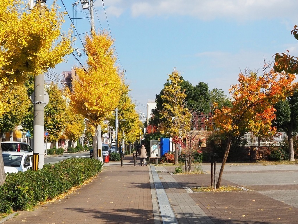04.jpg