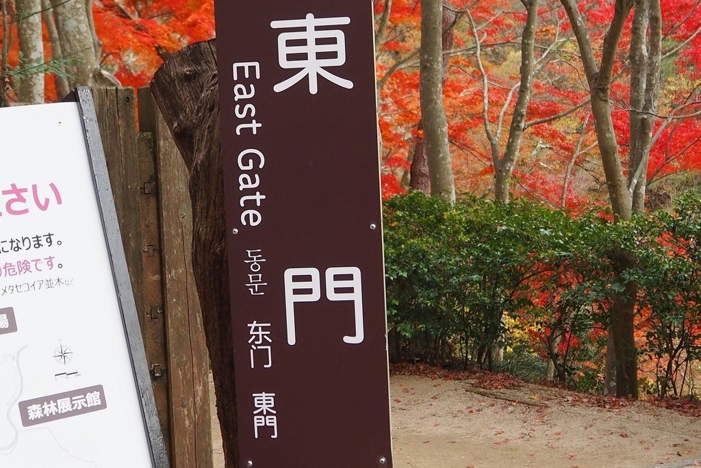 61.jpg