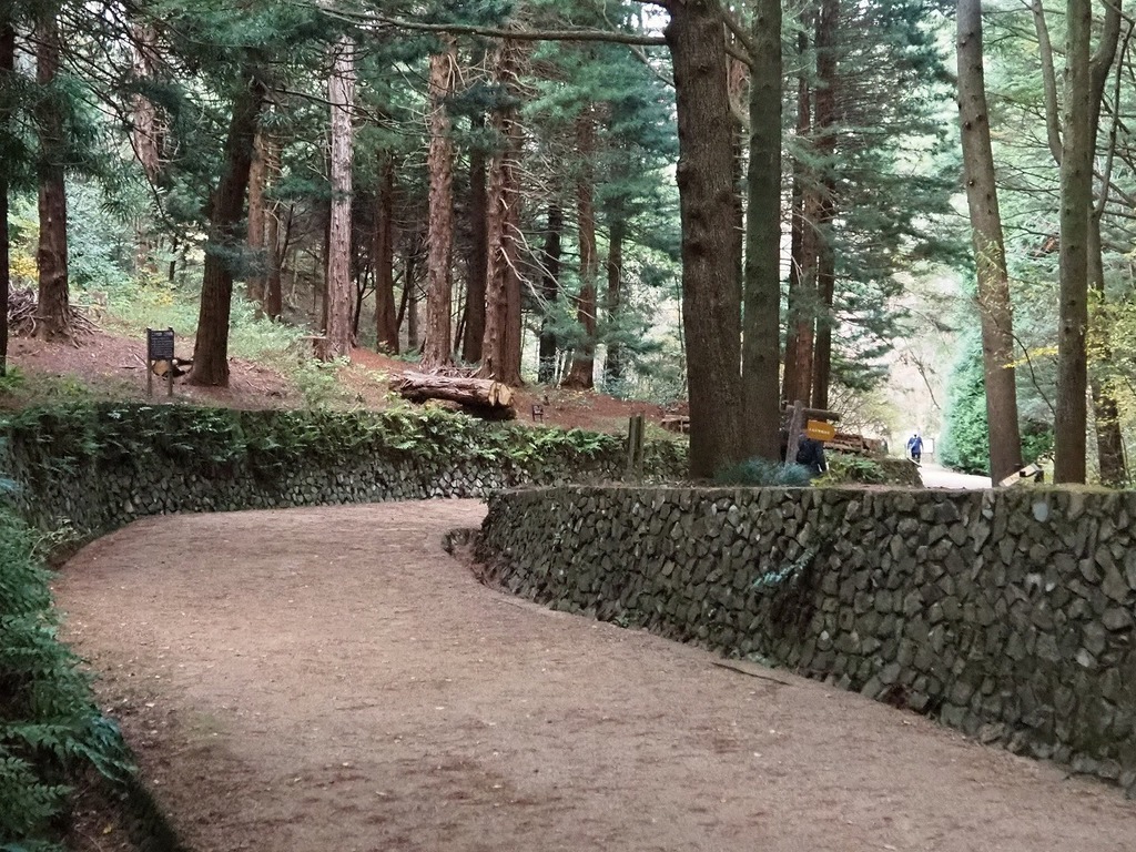 85.jpg