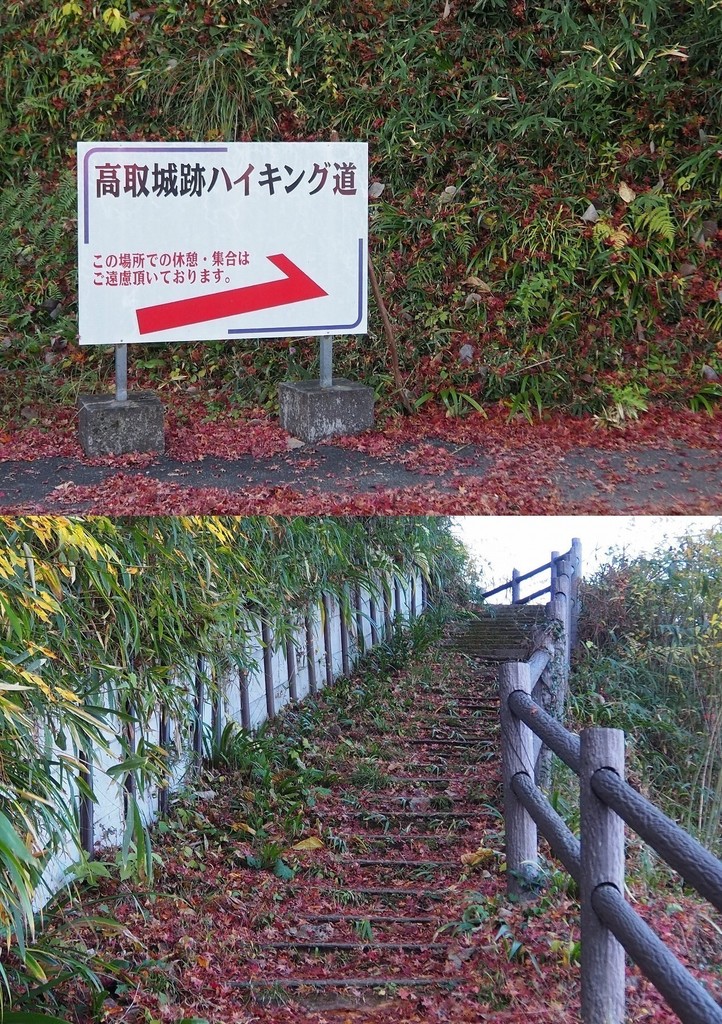 13 オリジナル.JPG