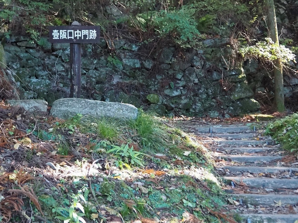 64.jpg