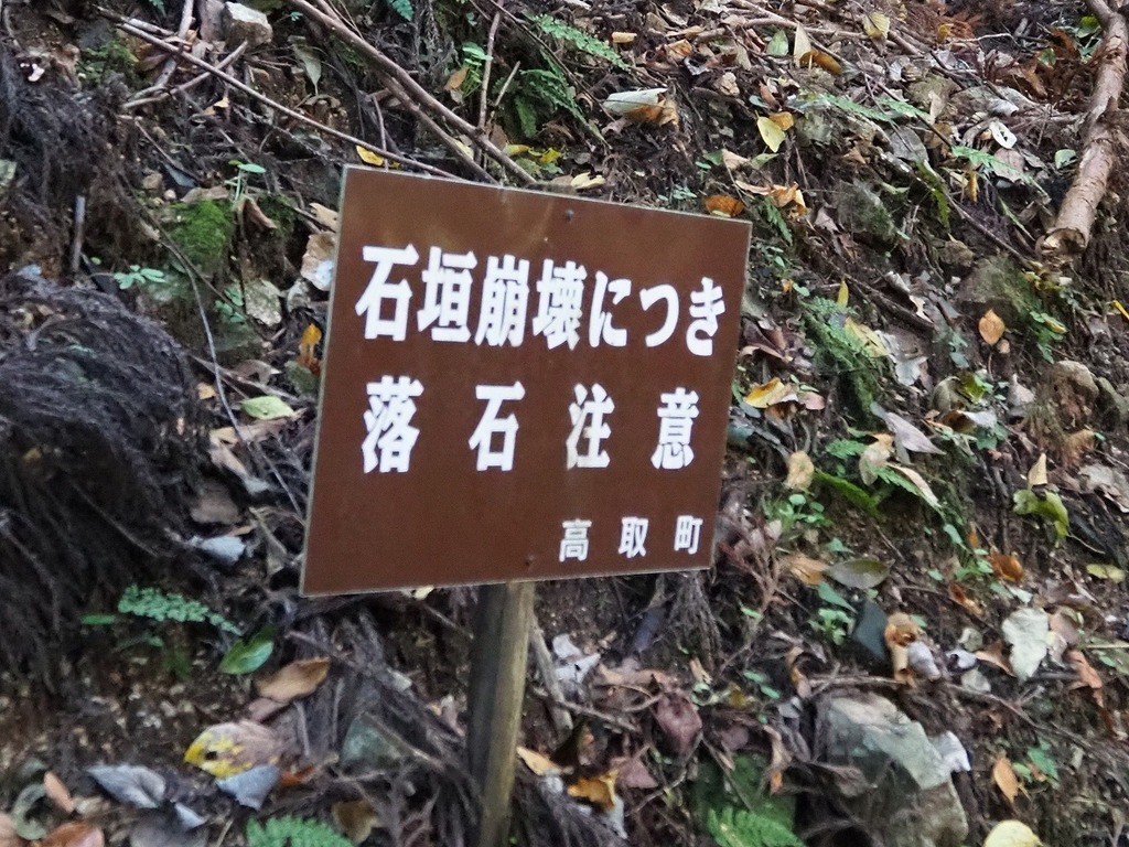 113.jpg