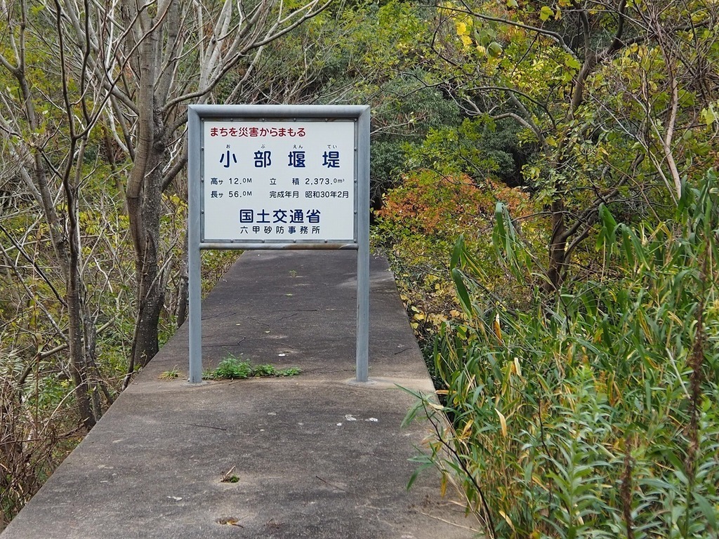 81.jpg