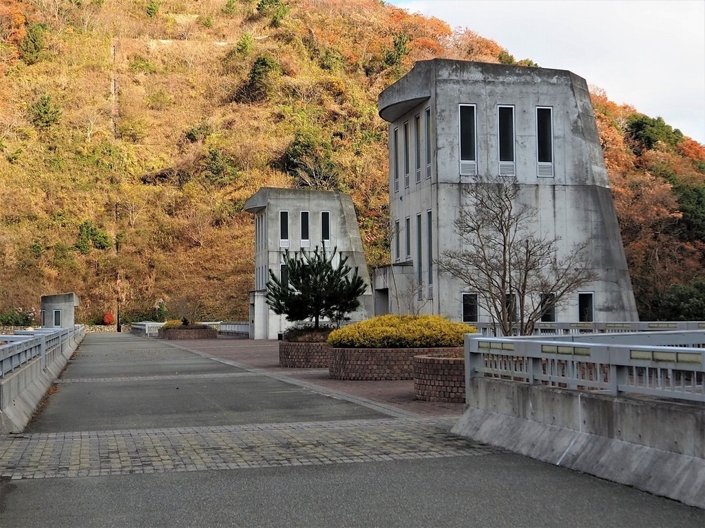 98.jpg