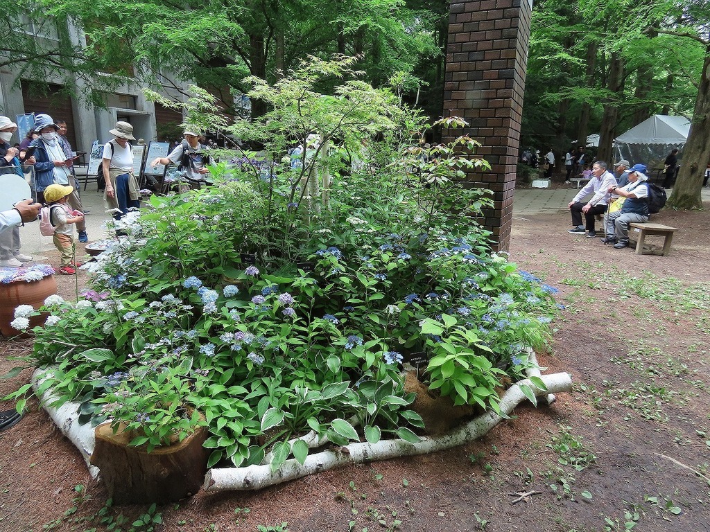 03.jpg
