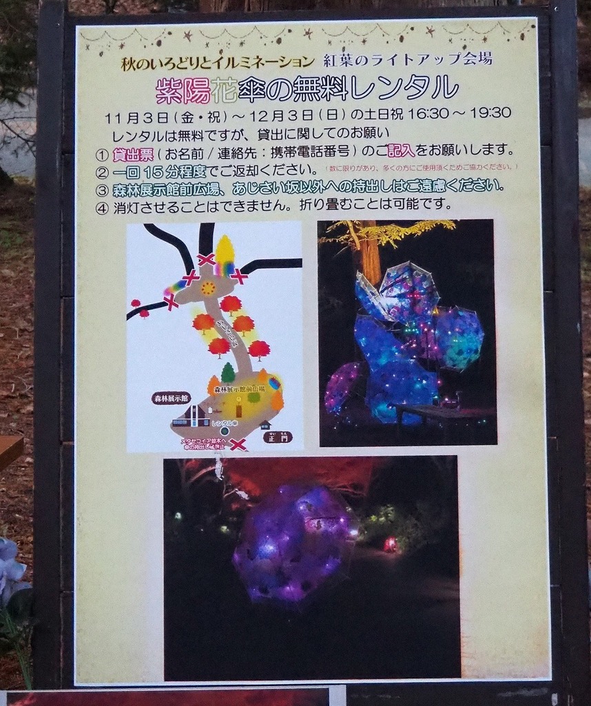 04.jpg