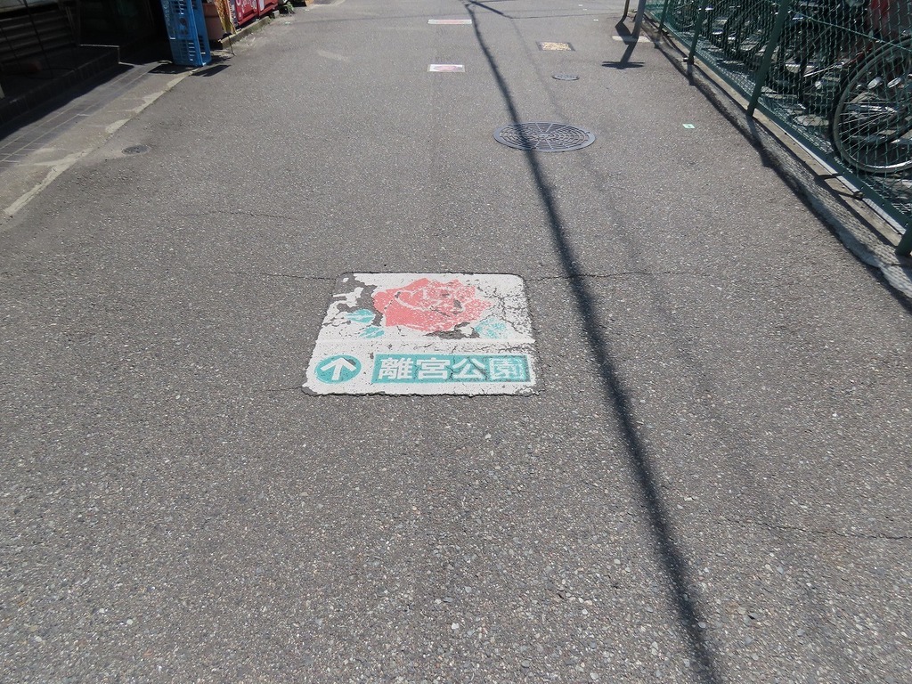 04.jpg