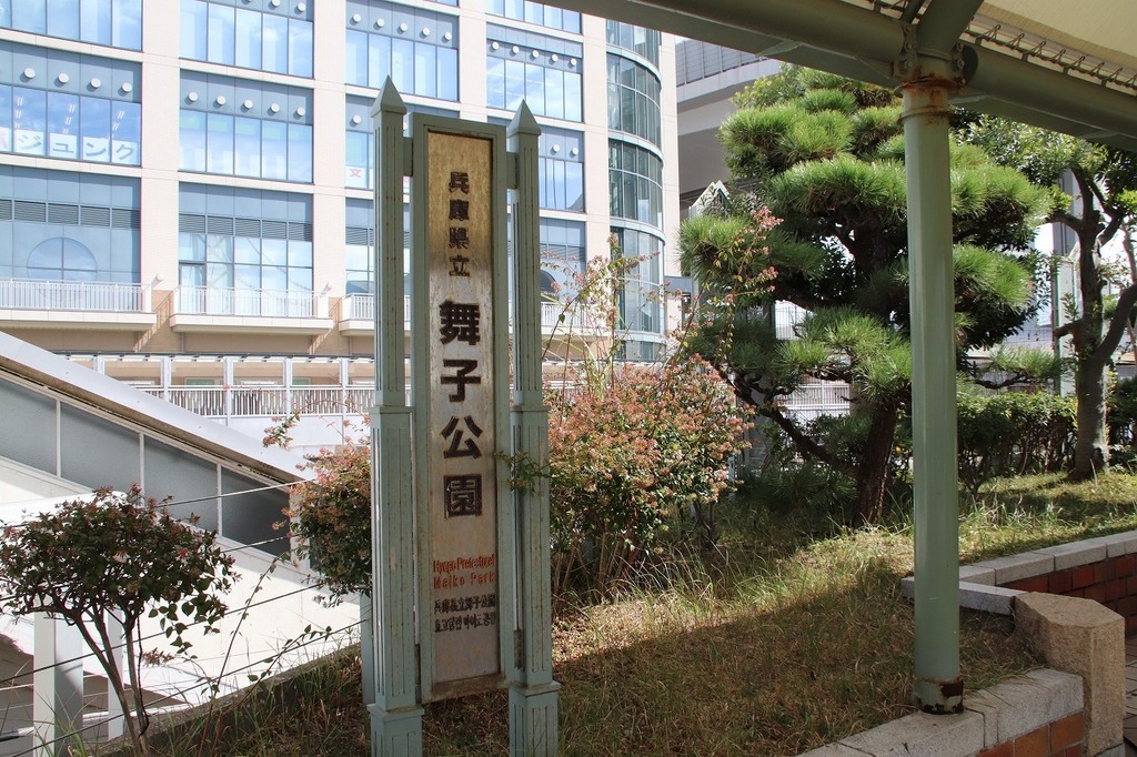 04.jpg