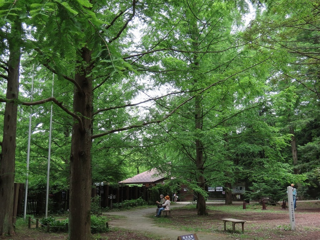 06.jpg